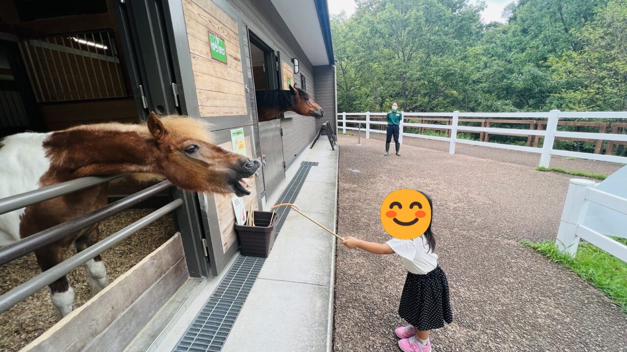 有料のエサやり体験。エサを買ってから動物のところへ行く