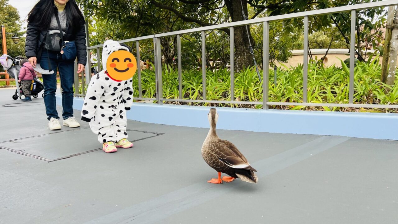 待ち時間は長いので、座れるものがあると親が助かります